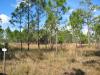 Quail Creek Plantation - Jan 2005